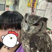 あい ほーほー🦉ほーほーほー🦉 優しいM性感 五反田