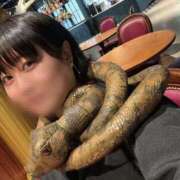 あい 魔法の世界に行ってきたよ🪄🌷 優しいM性感 五反田