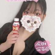 ヒメ日記 2026/01/29 19:00 投稿 西小山れの THE痴漢電車.com