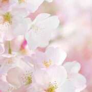 ヒメ日記 2025/04/18 19:10 投稿 かすみ 奥鉄オクテツ大阪