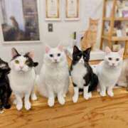 ヒメ日記 2025/10/08 09:10 投稿 かすみ 奥鉄オクテツ大阪