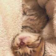 ヒメ日記 2025/12/12 17:45 投稿 かすみ 奥鉄オクテツ大阪