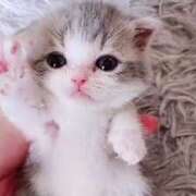 ヒメ日記 2025/12/19 20:10 投稿 かすみ 奥鉄オクテツ大阪