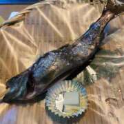 ヒメ日記 2025/05/09 16:42 投稿 朝日まりん しこたま奥様 横浜店