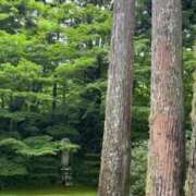 ヒメ日記 2025/06/13 07:52 投稿 朝日まりん しこたま奥様 横浜店