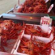 ヒメ日記 2025/07/07 16:31 投稿 朝日まりん しこたま奥様 横浜店