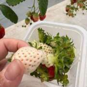 ヒメ日記 2026/02/09 13:42 投稿 朝日まりん しこたま奥様 横浜店