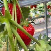 ヒメ日記 2026/02/15 00:17 投稿 朝日まりん しこたま奥様 横浜店