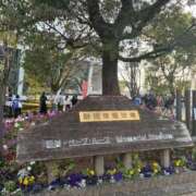 ヒメ日記 2026/03/08 13:52 投稿 朝日まりん しこたま奥様 横浜店