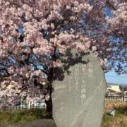 ヒメ日記 2026/03/22 08:52 投稿 朝日まりん しこたま奥様 横浜店