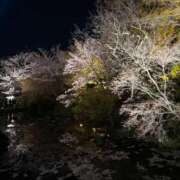 ヒメ日記 2026/04/02 21:42 投稿 朝日まりん しこたま奥様 横浜店