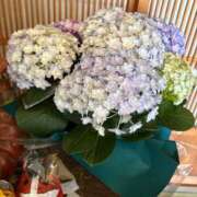 ヒメ日記 2026/04/09 00:52 投稿 朝日まりん しこたま奥様 横浜店