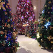 ヒメ日記 2025/12/17 09:51 投稿 れいな YESグループ　華女