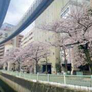 ヒメ日記 2026/04/08 23:11 投稿 かれん 千葉ミセスアロマ（ユメオト）