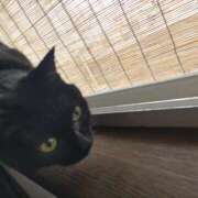 ヒメ日記 2025/04/30 09:31 投稿 みずほ 完熟とまと(十三)