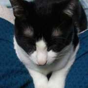 ヒメ日記 2025/06/25 07:17 投稿 みずほ 完熟とまと(十三)