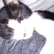 ヒメ日記 2025/06/27 06:29 投稿 みずほ 完熟とまと(十三)