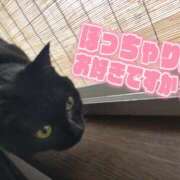 ヒメ日記 2025/07/01 10:17 投稿 みずほ 完熟とまと(十三)