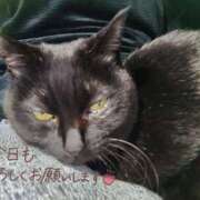 ヒメ日記 2025/08/29 09:22 投稿 みずほ 完熟とまと(十三)