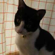 ヒメ日記 2025/09/12 09:59 投稿 みずほ 完熟とまと(十三)