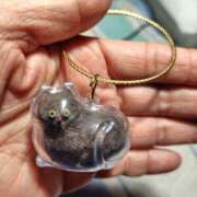 ヒメ日記 2025/09/26 10:15 投稿 みずほ 完熟とまと(十三)