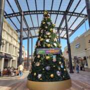 ヒメ日記 2025/11/19 10:15 投稿 みずほ 完熟とまと(十三)