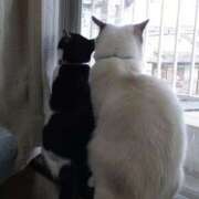 ヒメ日記 2025/11/21 10:15 投稿 みずほ 完熟とまと(十三)