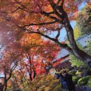 ヒメ日記 2025/12/03 10:16 投稿 みずほ 完熟とまと(十三)