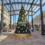 ヒメ日記 2025/12/24 10:28 投稿 みずほ 完熟とまと(十三)