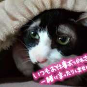 みずほ おはようございます😃 完熟とまと(十三)