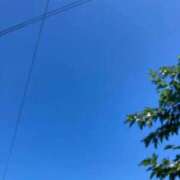 さりな 晴天 完熟ばなな 立川