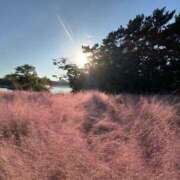 ひなこ ごめんね 夜這専門発情する奥様たち 難波店