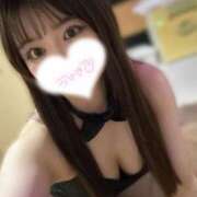 ヒメ日記 2025/05/30 07:15 投稿 ウルル きらめけ！にゃんにゃん学園in川口