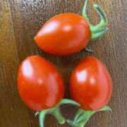 ヒメ日記 2025/08/27 20:01 投稿 カグラ 名古屋★出張マッサージ委員会