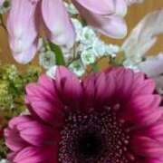 ヒメ日記 2026/02/26 21:41 投稿 カグラ 名古屋★出張マッサージ委員会