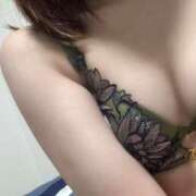 ヒメ日記 2025/06/30 15:41 投稿 ことり スピードエコ京橋店