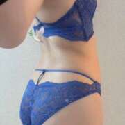 ヒメ日記 2025/07/02 12:21 投稿 ことり スピードエコ京橋店