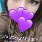 ヒメ日記 2025/10/09 15:21 投稿 ことり スピードエコ京橋店