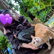 ヒメ日記 2025/11/25 19:41 投稿 ことり スピードエコ京橋店