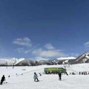 ヒメ日記 2026/02/19 17:11 投稿 ことり スピードエコ京橋店