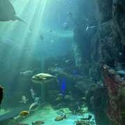 ヒメ日記 2026/04/02 17:31 投稿 ことり スピードエコ京橋店