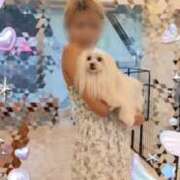 ヒメ日記 2025/10/16 11:11 投稿 あいら スピードエコ京橋店