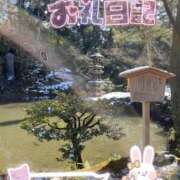 ヒメ日記 2025/05/11 18:11 投稿 うた スピードエコ京橋店