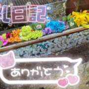 ヒメ日記 2025/05/20 17:02 投稿 うた スピードエコ京橋店