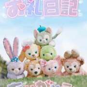 ヒメ日記 2025/06/15 18:01 投稿 うた スピードエコ京橋店