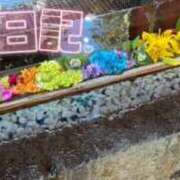 ヒメ日記 2025/11/09 18:41 投稿 うた スピードエコ京橋店