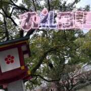 ヒメ日記 2026/03/01 19:21 投稿 うた スピードエコ京橋店