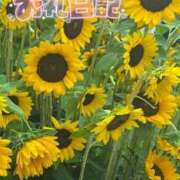 うた うた（エコ京橋店） スピードエコ京橋店