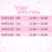 ヒメ日記 2026/04/11 14:41 投稿 もえ スピードエコ京橋店