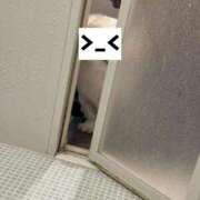 ヒメ日記 2025/11/09 23:52 投稿 みかづき パリス雄琴店